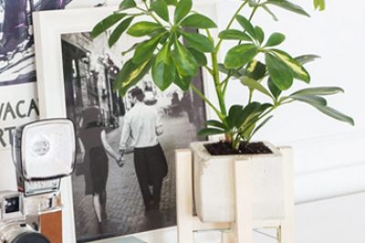 Plaited Planter Tutorial Fall For  DIY